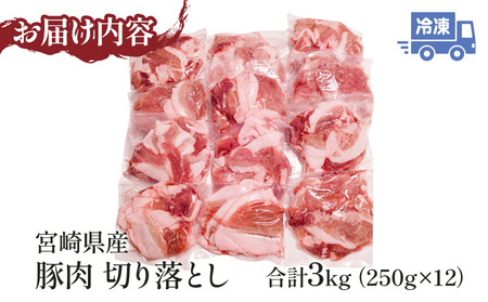 宮崎県産豚肉切り落とし 250g×12 合計3kg【豚肉 お肉 豚肉 肉 豚肉 宮崎県 豚肉 宮崎市 豚肉 宮崎県産 豚肉 宮崎産 豚肉 ポーク 豚肉 切り落とし 豚肉 小分け 豚肉 県産 豚肉 宮崎