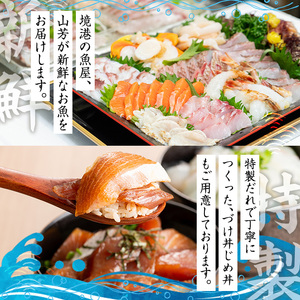 ＜水産加工大賞受賞＞燻製・づけ丼・昆布じめ丼の素詰合せ(燻製×2本・づけ丼×1本・昆布じめ丼×1本・計4本×6回お届け) ぶり ブリ 鰤 サーモン 鮭 サバ 鯖 海鮮 丼 簡単 新鮮 セット 冷凍 【