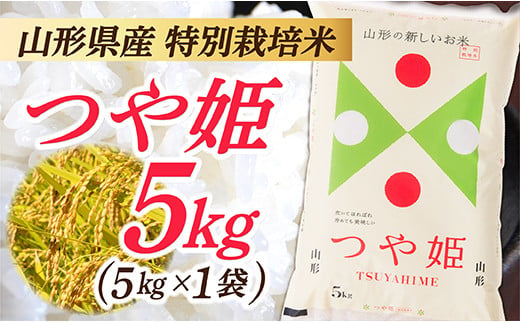 【令和6年産】山形県産 特別栽培米 つや姫5kg (5㎏×1袋)