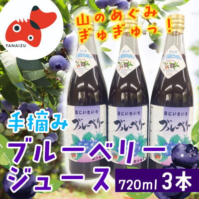 【山の恵みぎゅっと!】手摘みブルーベリージュース　720ml 【3本セット】