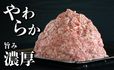 《定期便》長崎県産豚 ひき肉 計1.8kg (300g×6)【3回お届け】