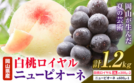 【先行予約】岡山県産 白桃ロイヤル ニューピオーネ 詰合せ 選べる 計1.2kg 株式会社はちや《7月上旬‐8月下旬頃出荷》【配送不可地域あり】