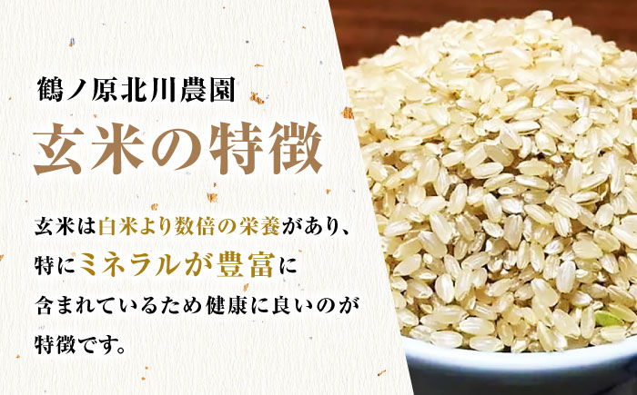 栽培期間中農薬不使用 令和5年産 金のいぶき 玄米 5kg 武雄市/鶴ノ原北川農園 [UDL021]