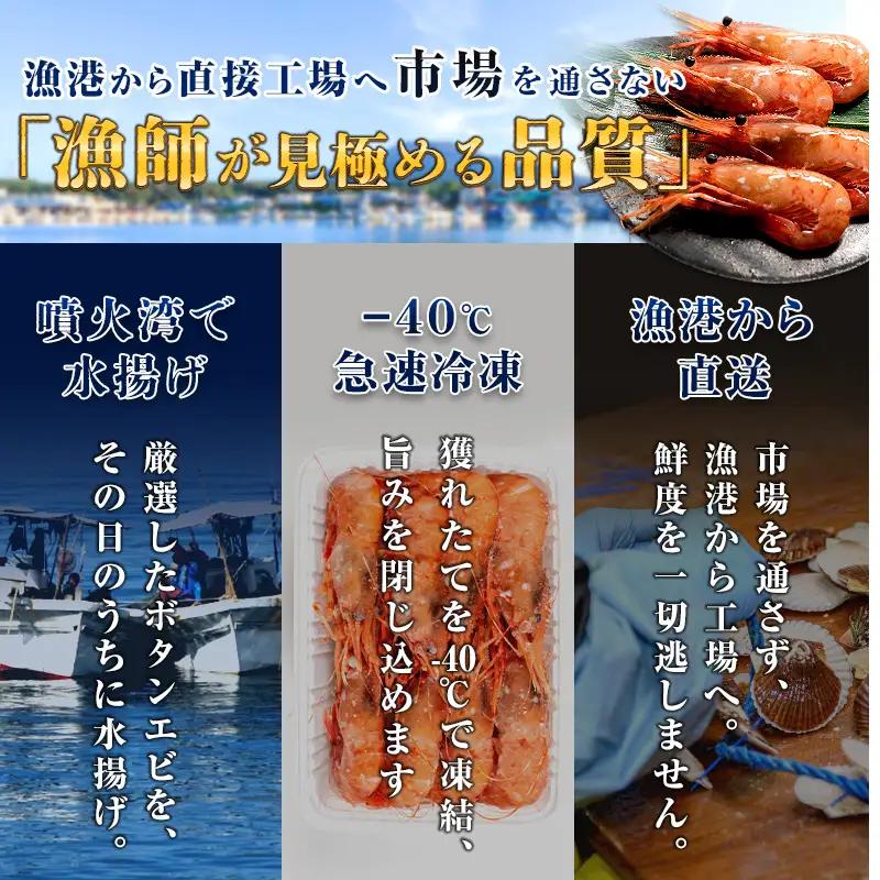【新物】冷凍ボタンエビ（オス）1kg（500g×2） ＜海鮮問屋　株式会社　瑞宝＞ えび エビ 海老 ぼたんえび ぼたん海老 ボタン海老 ボタンエビ ぼたんエビ 牡丹海老 北海道 森町 ふるさと納税 
