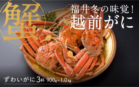 【特別価格期間延長！】【産地直送】福井冬の味覚！越前がに 3杯（900g～1.0kg）