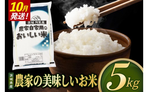 【2026年10月発送】米 農家の美味しいお米 精米 5kg 令和8年産 茨城県産 阿見町産 お米 こめ コメ ごはん 白米 茨城県産米 単一米 単一原料米 安心 安全 送料無料 国産 人気 数量限定 （85-R8a073_10）