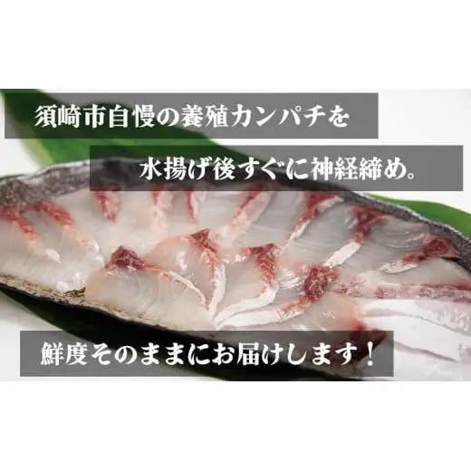 【 カンパチ 】 カンパチしゃぶしゃぶ用