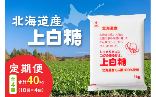 【4回定期便】ホクレンの上白糖1kg×10袋_S012-0079