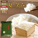 新米予約＜令和4年産 宮崎県産夏の笑み 無洗米真空パック2kg×5袋＞ ※入金確認後、2022年8月下旬～2022年9月末迄に順次出荷します。 合計10kg 希少品種 数量限定 小分け 木浦精米所 備蓄米 宮崎県 高鍋町 【常温】