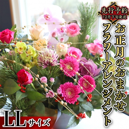 【 お正月 の お花 】 お花 おまかせ ＊ フラワー アレンジメント LL お正月 花 生花 縁起物 フラワーアレンジメント ギフト [CT054ci]