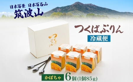 つくばぷりん かぼちゃぷりん 6個 プリン ぷりん かぼちゃ カボチャ 南瓜 牛乳 ミルク 卵 とろける スイーツ 贅沢 洋菓子 おやつ 冷菓 ご褒美 デザート 人気 グルメ お取り寄せ ギフト プレ