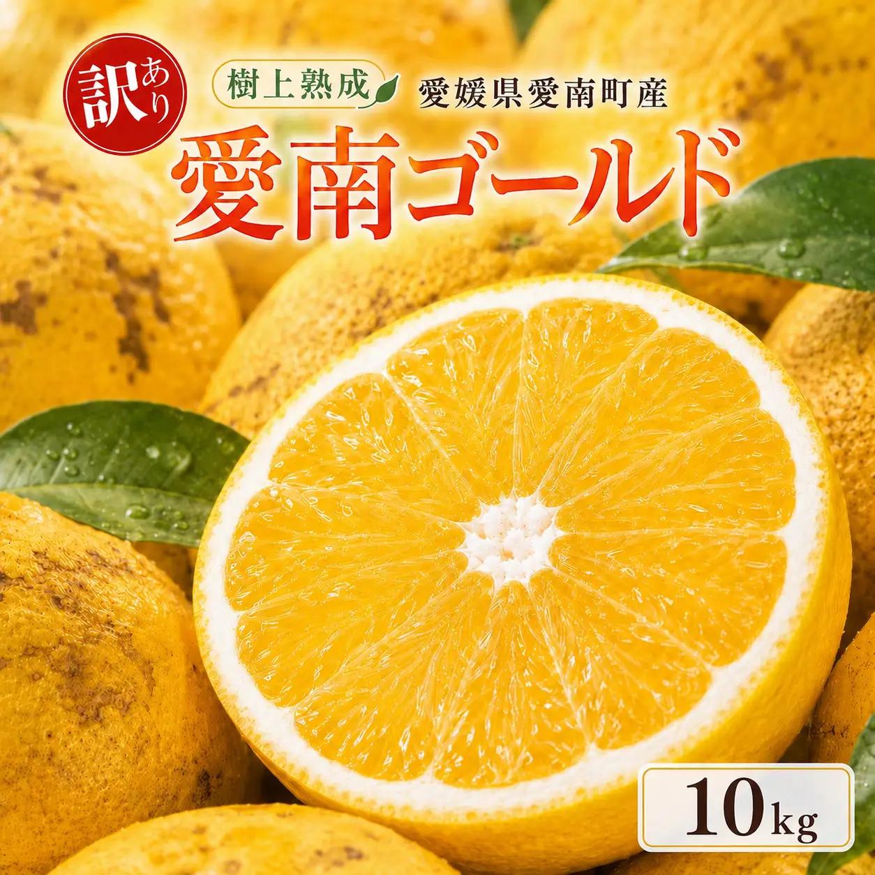 木成り 追熟 訳あり 愛南ゴールド 約10kg 柑橘 フルーツ 河内晩柑 果物 蜜柑 みかん くだもの mikan 家庭用 傷 不揃い 1年 サイズミックス かわち ばんかん かんきつ 和製 グレープフルーツ デザート 果実 果汁 甘い ジューシー おいしい 特産品 国産 農園 直送 産地 直送 資格 大学 イノベーター エニシトラス 愛媛県 愛南町 