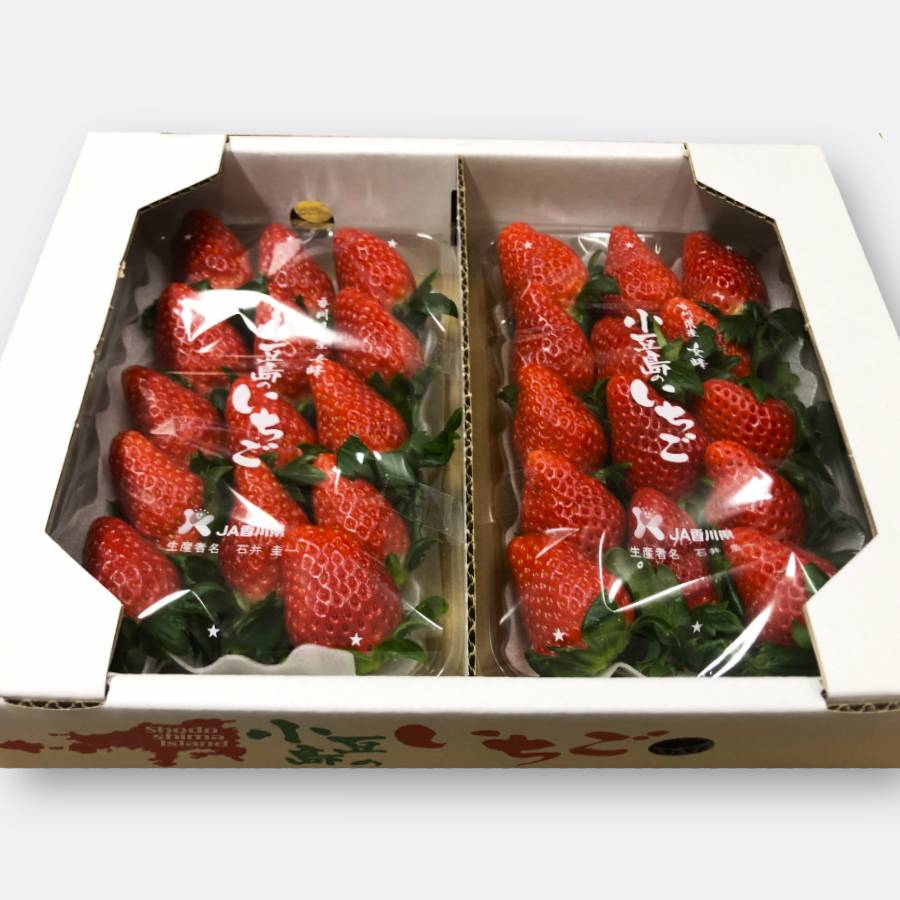 女峰いちごDXパック