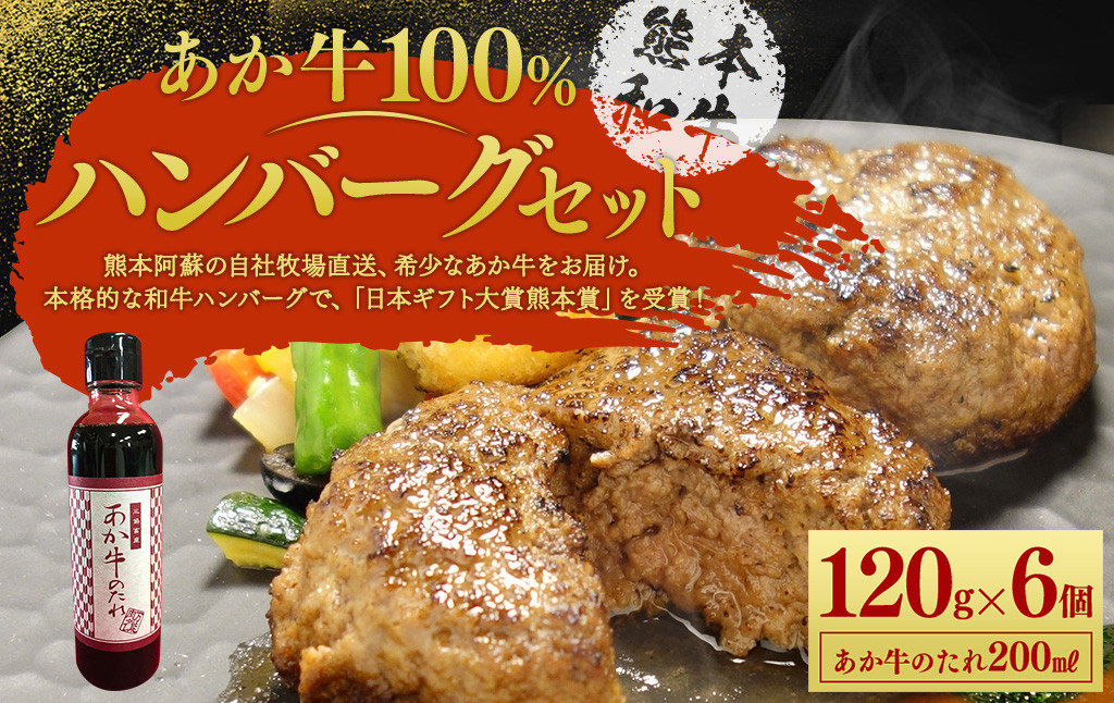 あか牛100％ハンバーグセット (あか牛ハンバーグ120g×6個、あか牛のたれ200ml付き)
