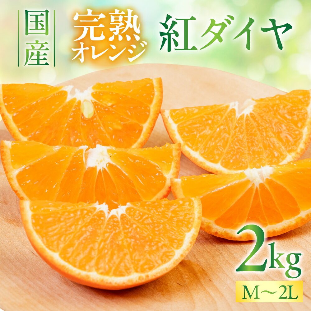 【ふるさと納税】《2026年産》こだわり蜜柑 紅ダイヤ 厳選プレミアム M~2Lサイズ 約2kg みかん 紅ダイヤ ミカン mikan 柑橘 柑橘類 フルーツ 果物 詰め合わせ 愛知県 豊橋市 マルカワ園芸