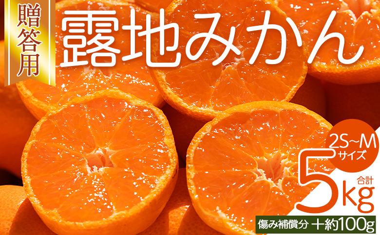 みかん 【2026年10月下旬発送】露地みかん(2S～Mサイズ) 5kg 贈答用 （傷み補償分 ＋約100g） - 果物 くだもの フルーツ 果実 柑橘 かんきつ 蜜柑 みかん om-0004