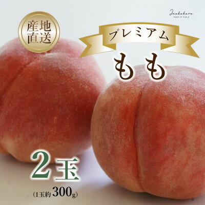【ふるさと納税】Inakakara　プレミアム桃2玉【配送不可地域：離島・沖縄県】【1622601】