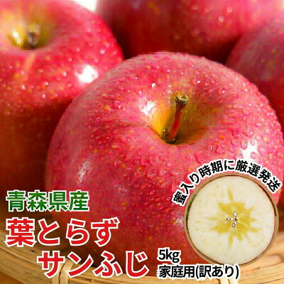 【ふるさと納税】11-12月 蜜入り時期に厳選発送! 青森県産 りんご 訳あり 葉とらずサンふじ 家庭用 約5kg【配送不可地域：沖縄県】【1755416】