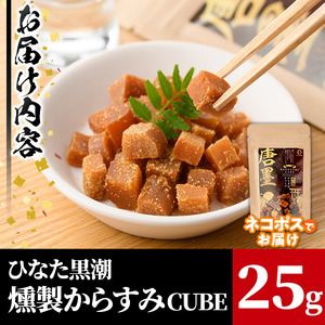 ”ひなた舎”燻製からすみCUBE(25g) カラスミ 魚卵 常温  【B-18】【SA・Te黒潮】