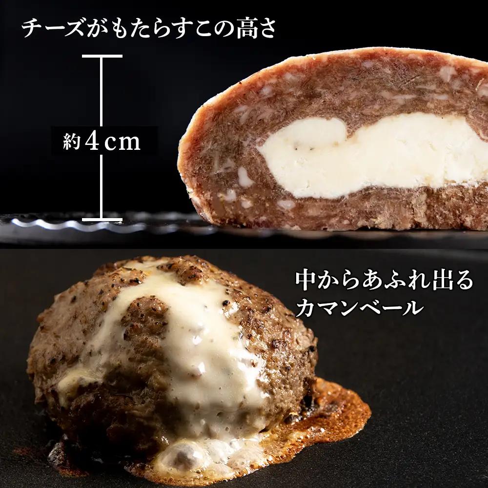 定期便３ヵ月 お楽しみ 北海道産 白老牛 カマンベールチーズハンバーグ 20個セット BY118