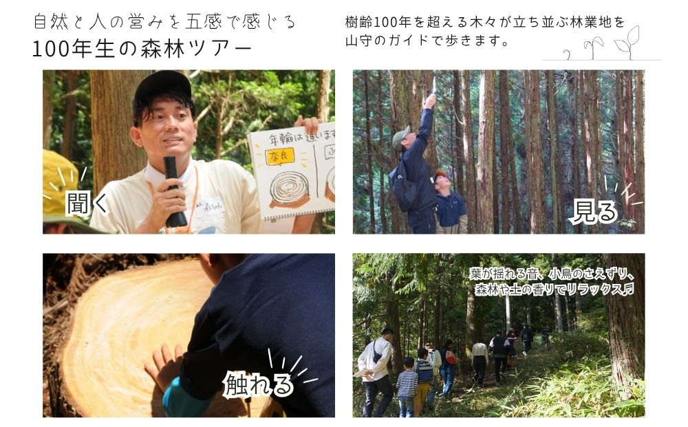 100年生の 森林ツアー ＆ 伝統木工体験 inうだ 2025夏／ 体験 関西 子供 親子 チケット 森林浴 ハイキング 木工体験 伝統工芸 林業 夏休み 宿題 MORITO 森庄 森庄銘木産業 奈良
