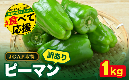農家さん応援！ 【訳あり】 ピーマン 1kg JGAP取得 農家直送 冷蔵便 野菜 新鮮 BBQ 焼肉 国産 おすすめ 送料無料 緊急支援品 生活応援 コロナ支援 福島県 田村市 株式会社Mファーム