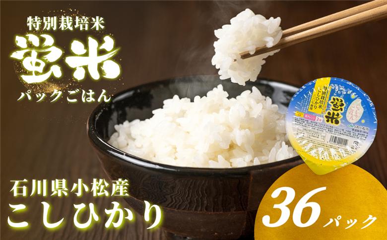 『蛍米』 パックごはん180g×36個入り 特別栽培米こしひかり パックご飯 パックライス コシヒカリ 36食 石川県 小松市産 お米 防災用 024026