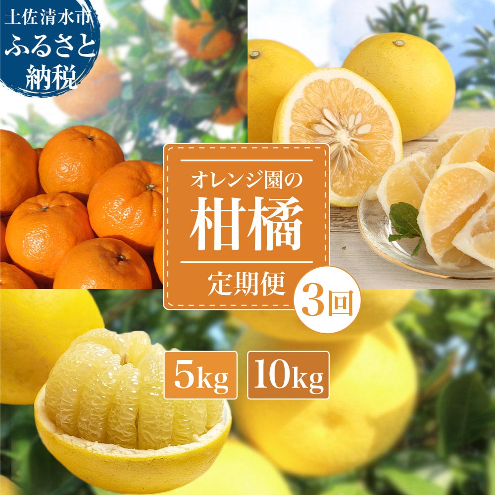 【ふるさと納税】令和8年発送 オレンジ園の柑橘3種（ぽんかん・文旦・小夏）各5kg 各10kg 3回定期便 フルーツ定期便 ポンカン ぶんたん こなつ 果物 蜜柑 みかん ミカン 柑橘 フルーツ デザート 国産 常温 配送 高知県 高知 土佐清水 故郷納税 ふるさとのうぜい 【J00104】