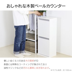 木製2分別ダストボックス（ホワイト）おしゃれ インテリア 収納スペース ゴミ箱  完成品 燕三条製 [川口工器] 【069S001】