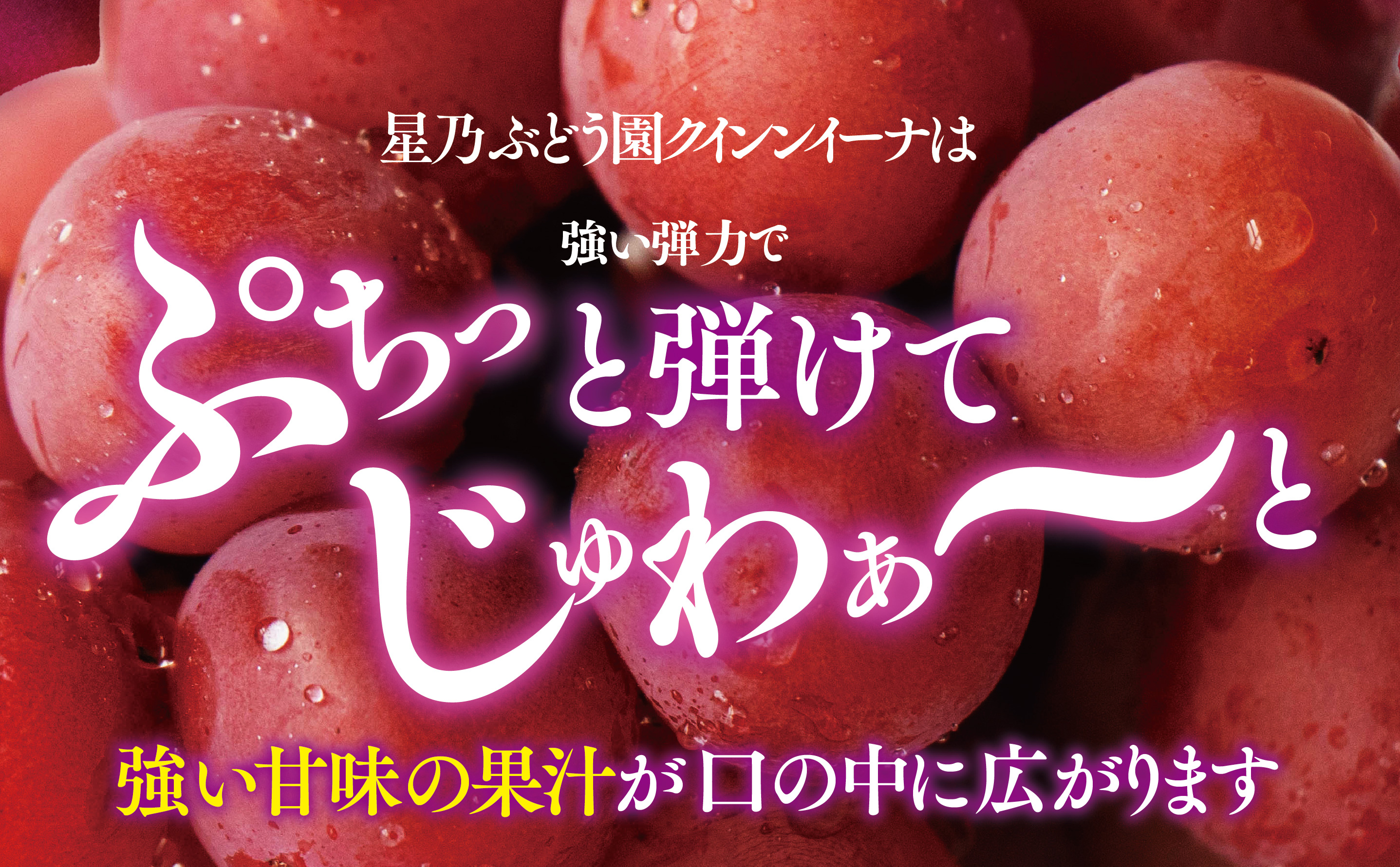 【三つ星ブランド】星乃クインニーナ 数量限定 2房〜3房(1.2kg以上)【配送不可地域：離島・北海道・沖縄県】【1601625】