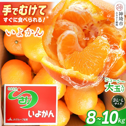 【2027年1月中旬より発送開始】いよかん 8～10kg(3L～Lサイズ)【みかん 柑橘 フルーツ デザート】(H116141)