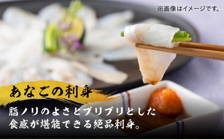 【全2回定期便】対馬産 べっぴん あなご 詰め合わせ 《対馬市》【桐谷商店】 対馬 新鮮 ふわふわ 穴子 刺身 海産物 魚介 冷凍配送[WAQ016]