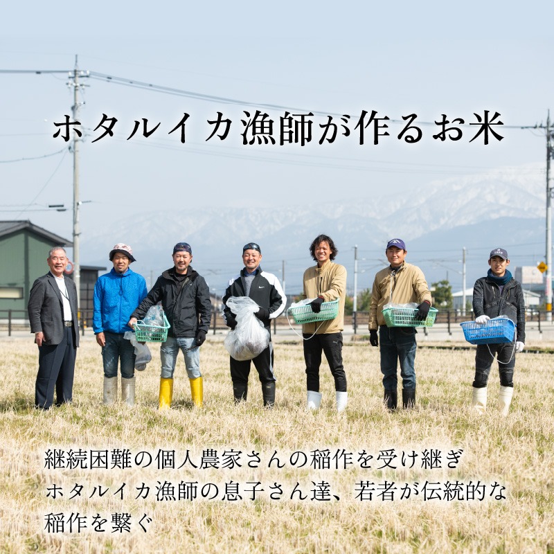 【訳あり】ほたるいか米（無洗米20kg）×12回 計240kg【12ヶ月定期便】