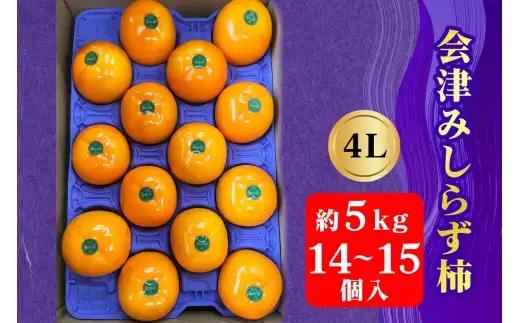 【2026年11月下旬から12月上旬発送予定】会津身しらず柿 4L (14個から15個入り) 約5kg 果樹園 壱心産｜会津若松 果物 フルーツ 柿 身知らず みしらず かき カキ 会津身不知柿