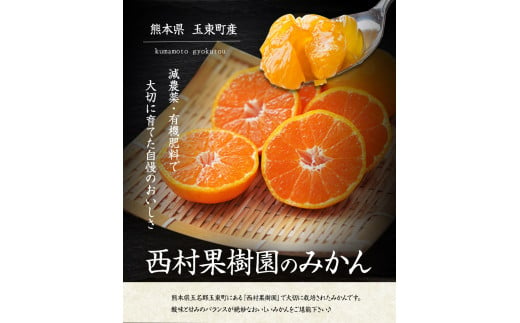 『西村果樹園』のみかん約3.5kg(S-2Sサイズ) 《10月上旬-1月下旬頃出荷》 みかん 減農薬・有機肥料で育てた自慢のおいしさ！---sg_nkjmikan_ak101_24_8500_3500