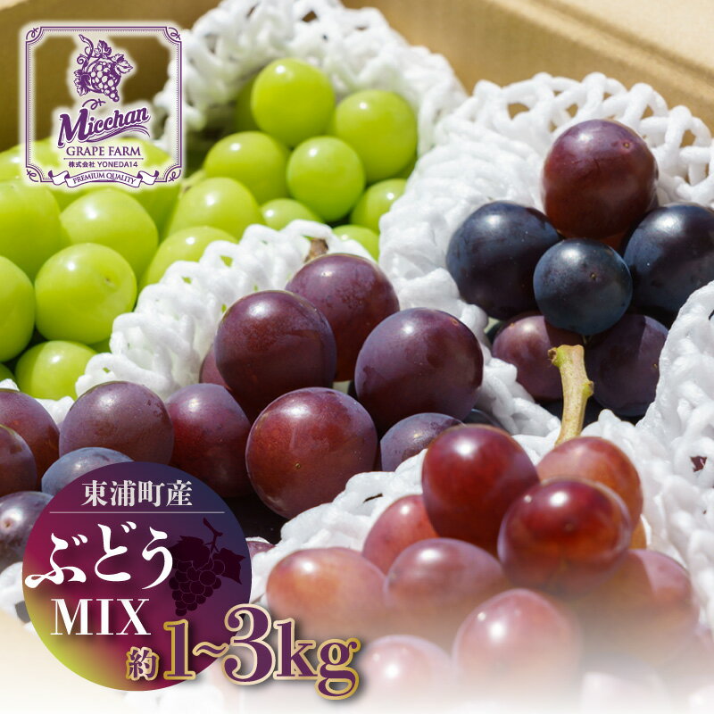 【ふるさと納税】＼先行予約／東浦町産 ぶどうMIX【選べる量 約1kg・3kg】先行予約承り中！ 種なし巨峰とプレミアム品種！ 食べ比べ 期間限定 フルーツ 葡萄 巨峰 愛知県産 果物 ブドウ 葡萄 予約 クール便【発送期間：8月下旬から9月上旬に順次発送】送料無料 [AA004]