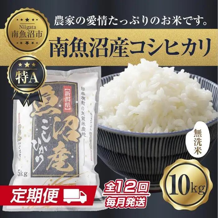【定期便】無洗米  新潟県 南魚沼産 コシヒカリ お米 10kg×計12回 精米済み 年間 毎月発送 こしひかり（お米の美味しい炊き方ガイド付き）｜主食