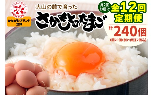 [定期便／6ヶ月×月2回 (全12回)] さかもとのたまご 20個 (18個＋割れ保証2個) 合計240個｜坂本養鶏 大山の麓で育ったさかもとのたまご 赤玉卵 玉子 鶏卵 伊勢原市 赤玉卵 玉子 生卵 国産 TKG タマゴ 新鮮 大山 鶏 ギフト 安心 安全 親子丼 卵焼き 目玉焼き お菓子 [1129]