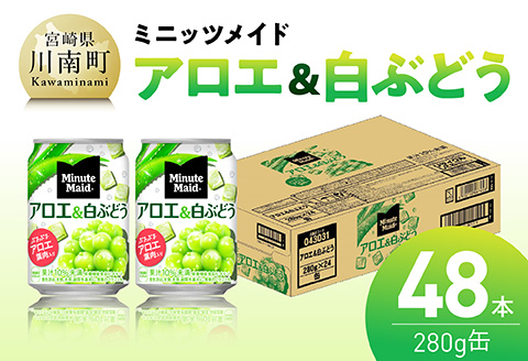 コカ・コーラ ミニッツメイド「アロエ&白ぶどう」280g缶 48本（24本×2箱） 【 飲料 アロエ 白ぶどう 果汁 長期保存 】 [C11132]