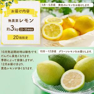 皮まで美味しい無農薬レモン 約3kg【栽培期間中農薬不使用】