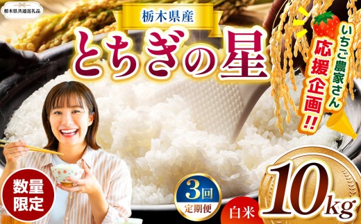【栃木県共通返礼品】【先行予約】【定期3回】 訳あり 数量 限定 定期便 令和8年度産 とちぎの星 約 10kg| とちぎの星 白米 ごはん おいしい 品種 お米 米 おにぎり ふるさと納税 那珂川町 栃木県