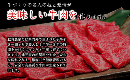 くまもと黒毛和牛 焼肉用 1000g《90日以内に出荷予定(土日祝除く)》 南阿蘇食品