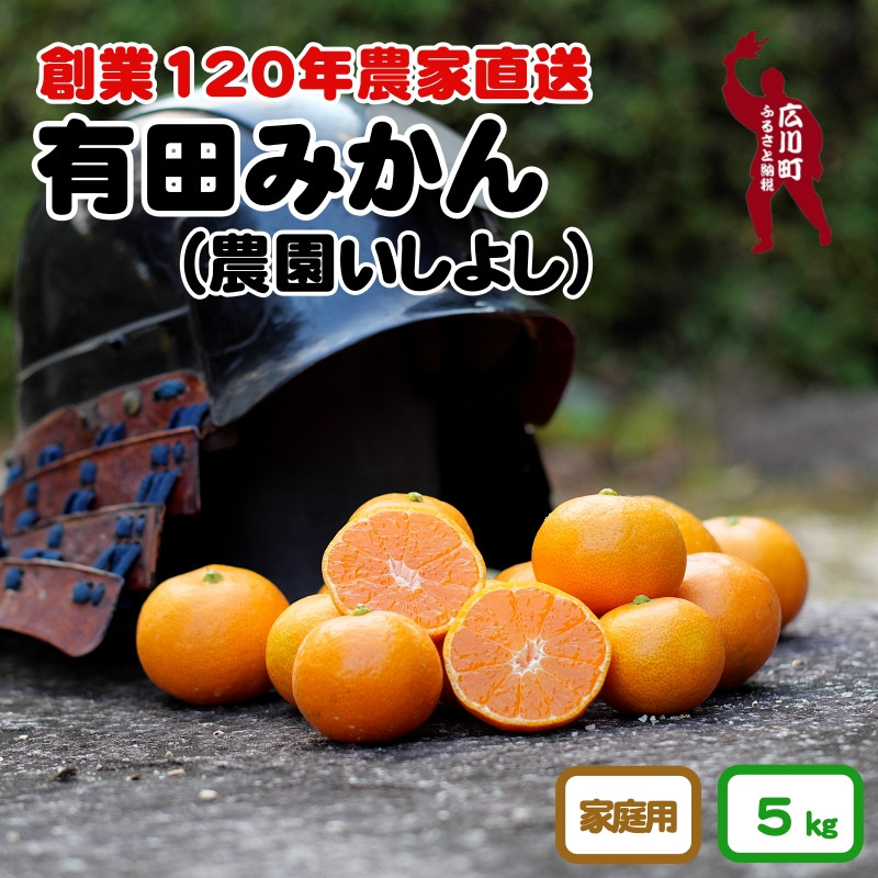 
▼ご家庭用　有田みかん 5kg サイズ混合【創業120年農家直送】 ※2024年11月より順次発送予定 【isy004-c-5】
