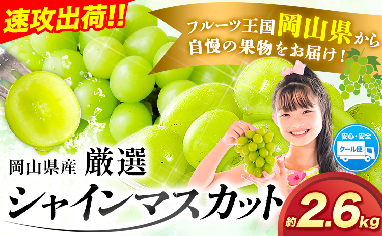 すぐ届く！【3-7営業日以内発送】【アフター保証付】定期便 あり シャインマスカット 厳選 訳ありシャインマスカット 約 2.6kg (3~5房) マスカット 送料無料 岡山県 浅口市 ぶどう フルーツ 果物