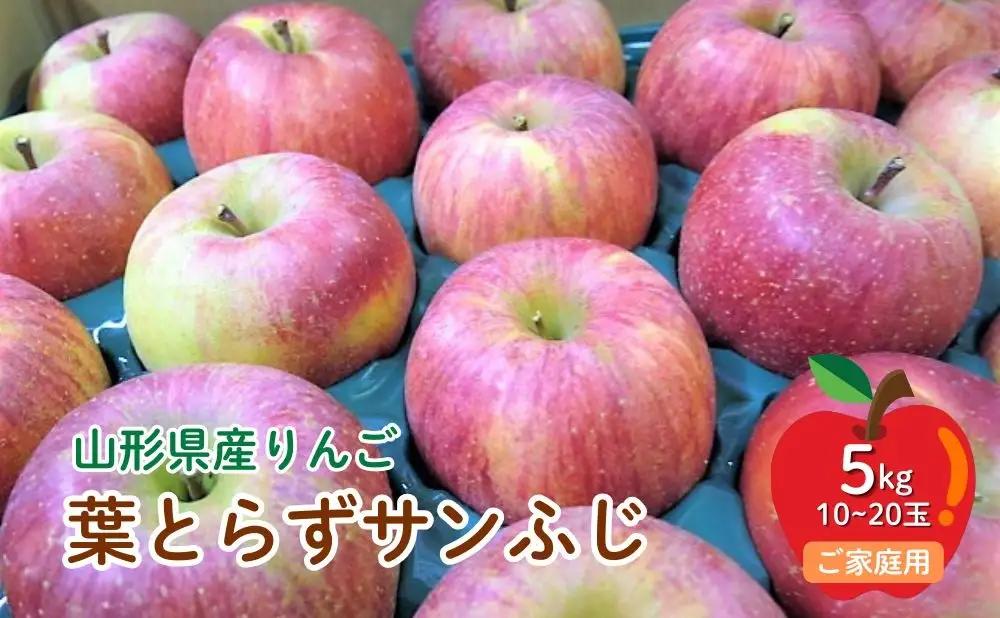 【２０２７年１月～発送】りんご（葉とらずサンふじ）５ｋｇ　ご家庭用　0075-2615