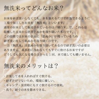 ふるさと納税 大野町 令和5年産 岐阜県産 無洗米 はつしも 5kg |  | 02