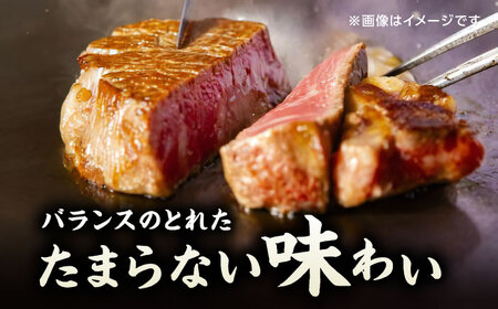 【6回定期便】くまもと黒毛和牛 ステーキ食べ比べ ヒレステーキ×4枚 サーロインステーキ×4枚【馬刺しの郷 民守】  食べ比べ セット 霜降り ステーキセット  [ZBL087]
