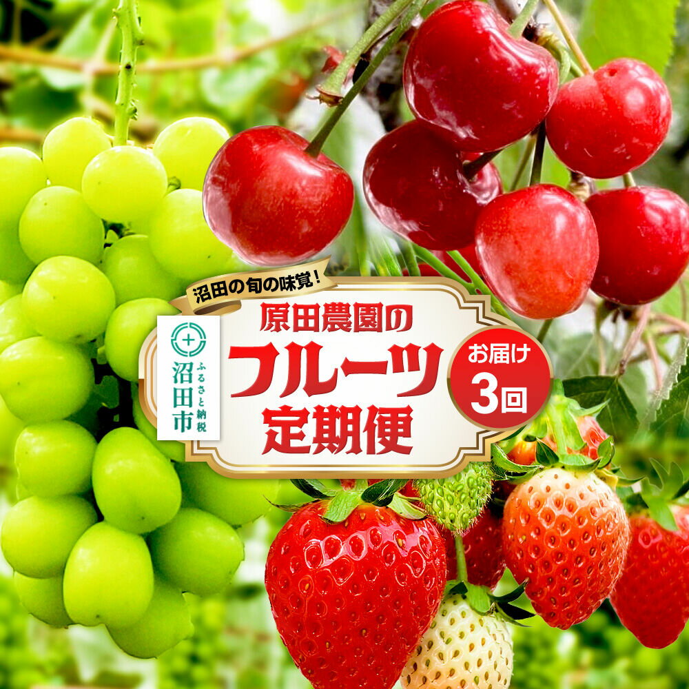 【ふるさと納税】《一部地域限定配送》3回お届け！原田農園のフルーツ定期便 シャインマスカット→いちご→さくらんぼ [苺 いちご イチゴ さくらんぼ サクランボ しゃいんますかっと シャインマスカット]