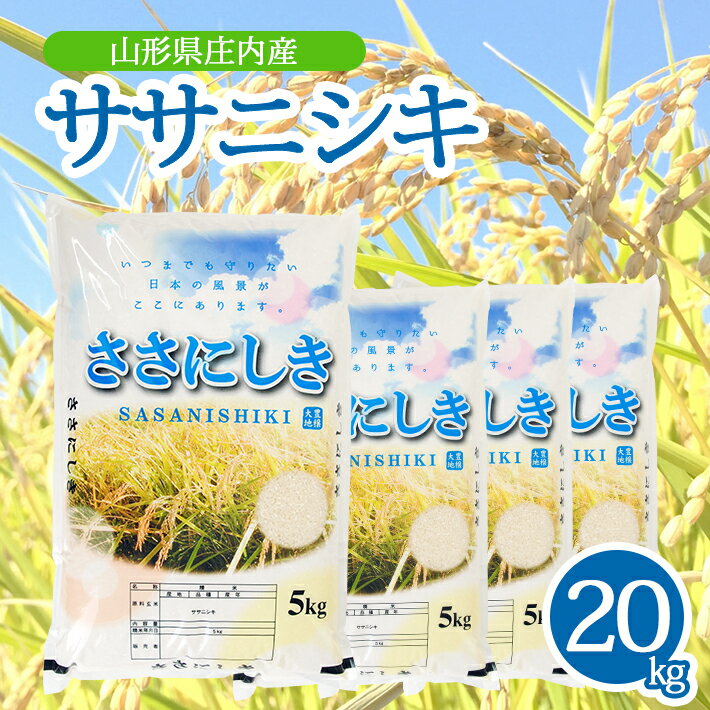 【ふるさと納税】ササニシキ 5kg×4袋 計20kg 令和7年産米 山形県庄内産 東北 山形県 酒田市 庄内地方 米 精米 白米 お米 ごはん ご飯 庄内米