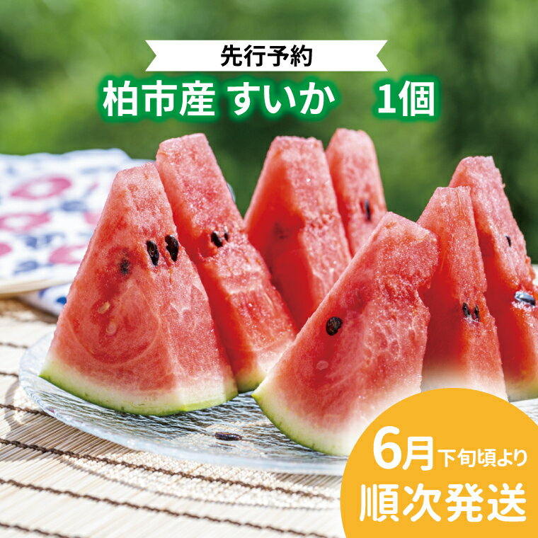 【ふるさと納税】【先行予約】【2026年6月下旬発送】 スイカ すいか フルーツ 果物 1玉 旬 国産 産地直送 千葉県産 柏市産 甘い おいしい 美味しい おすすめ 夏 デザート グルメ 予約